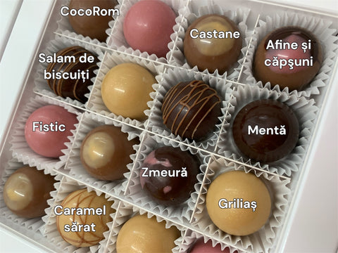 Cutie cu 16 bomboane de ciocolata - editie Chocolate Saga