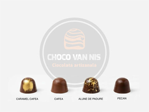 Selectia ciocolatierului - ciocolata artizanala